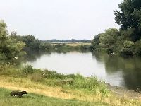 2019-08-07 09.19.02-0.jpg